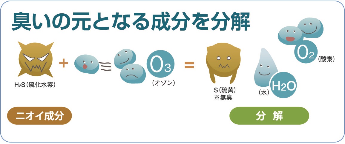 臭いの元となる成分を分解